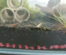 鱂???7.皉虂?z琭傎2g$?籘ご&瑉m禵??宋岬亰Y棦n-鬪z@寁)|?4BCs?愯UＥA??鈸l!,匥?鹈#簲U＼诵`dD播P箠Q