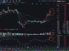 开云体育官网-bqxscbl复制